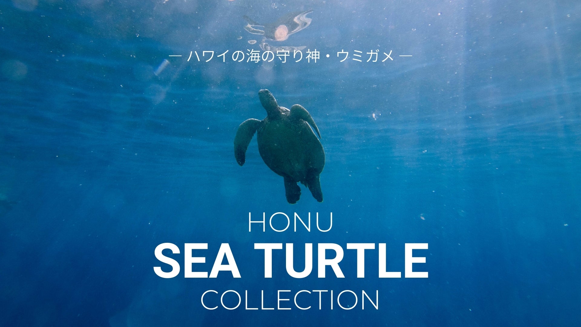 Honu / Sea Turtle Collection｜ウミガメ柄バッグ・ハワイの海の守り神