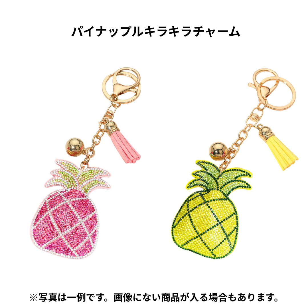 2026年福袋 SunNSandサンアンドサンドセット