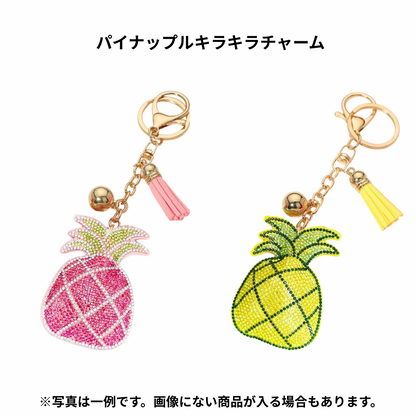 2026年福袋 SunNSandサンアンドサンドセット